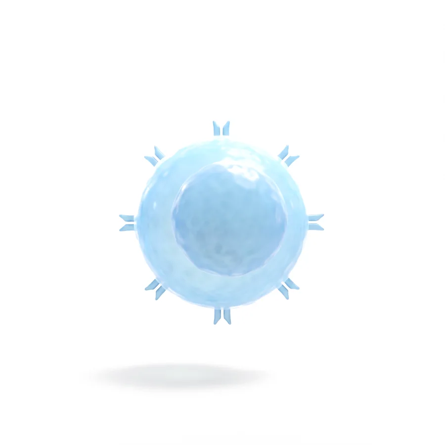 CD4+ T cell, rendered in 3D
