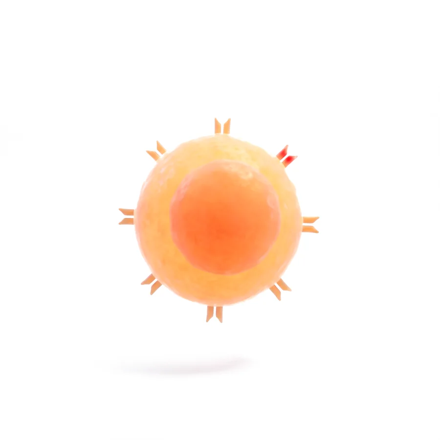 T cell, rendered in 3D