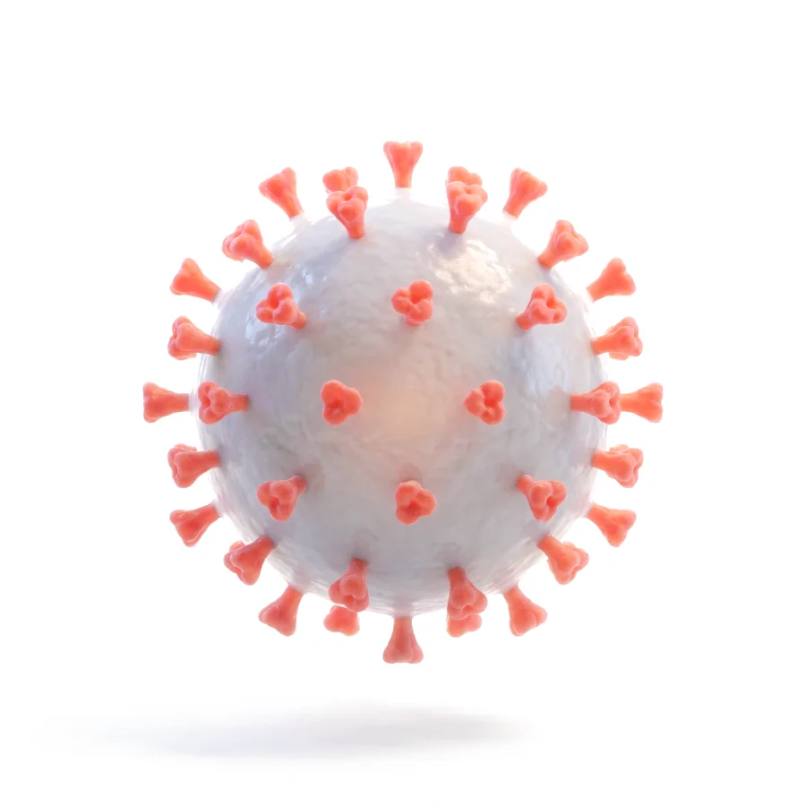SARS-CoV-2, rendered in 3D