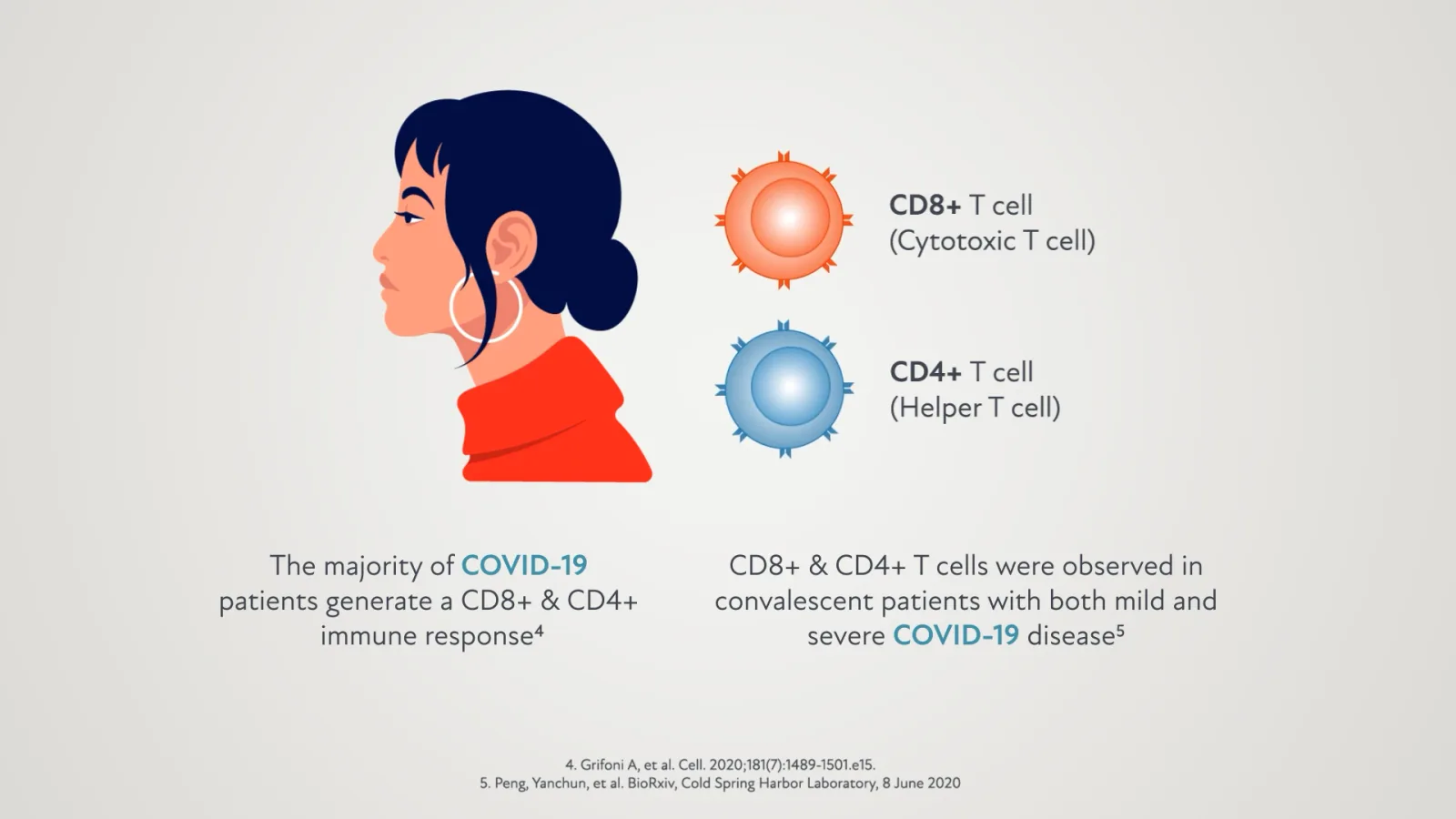 Two kinds of T cell: Cytotoxic CD8+ and helper CD4+.