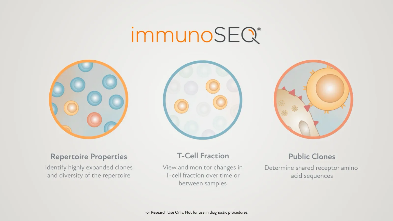 What immunoSEQ reads: Repertoire, T-cell fraction and public clones.