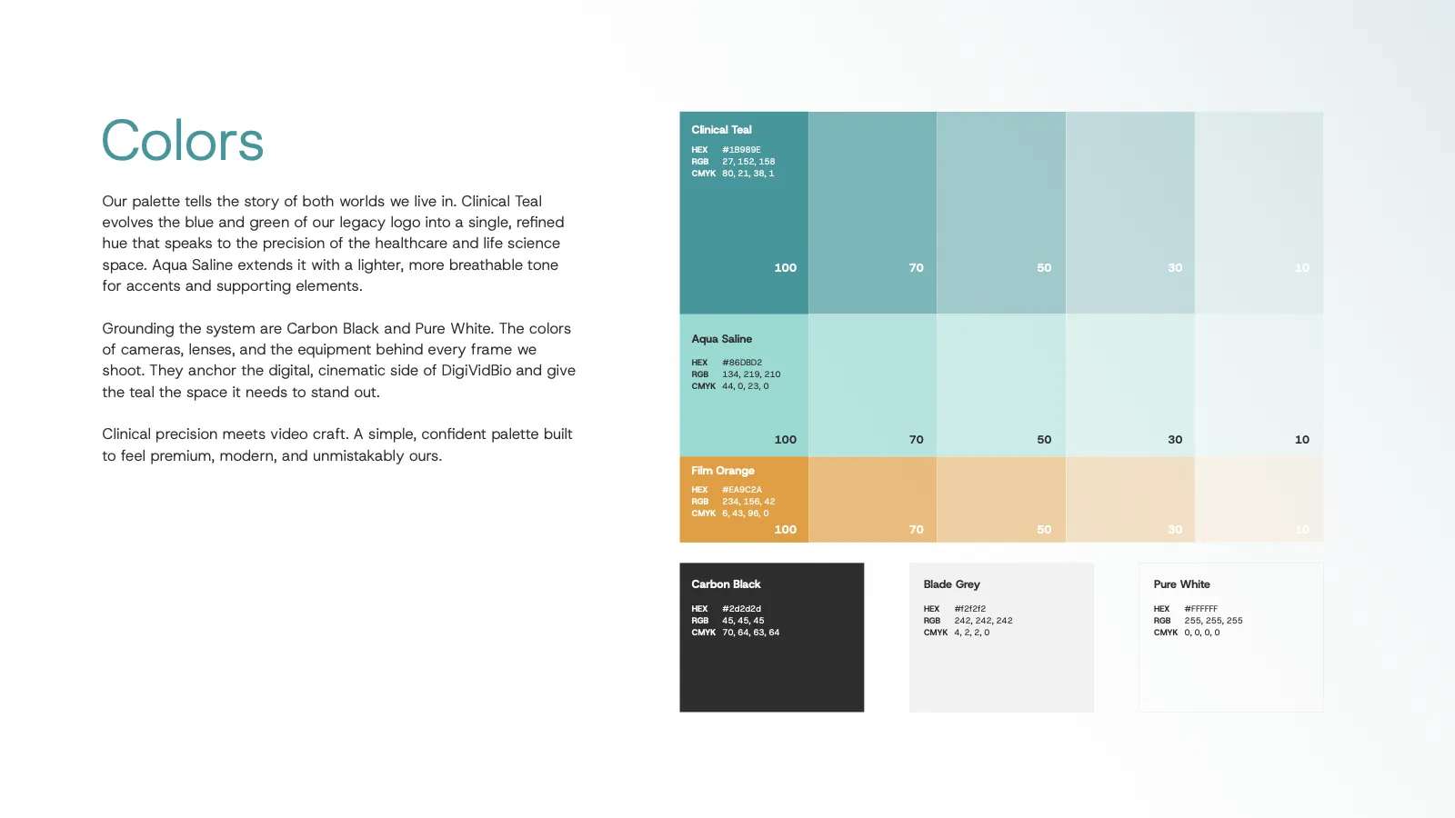 DigiVidBio Brand Playbook, page 11