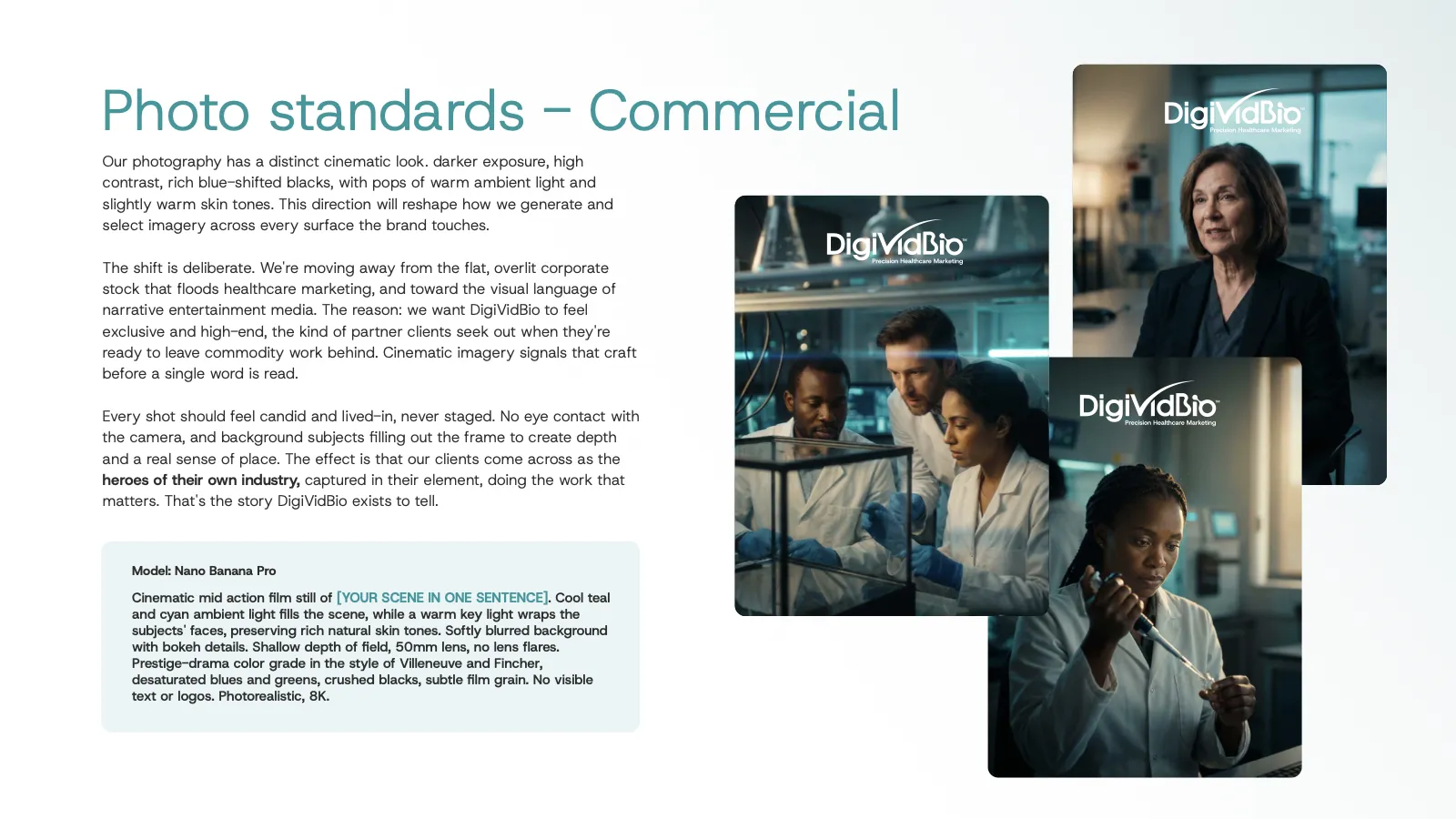 DigiVidBio Brand Playbook, page 13