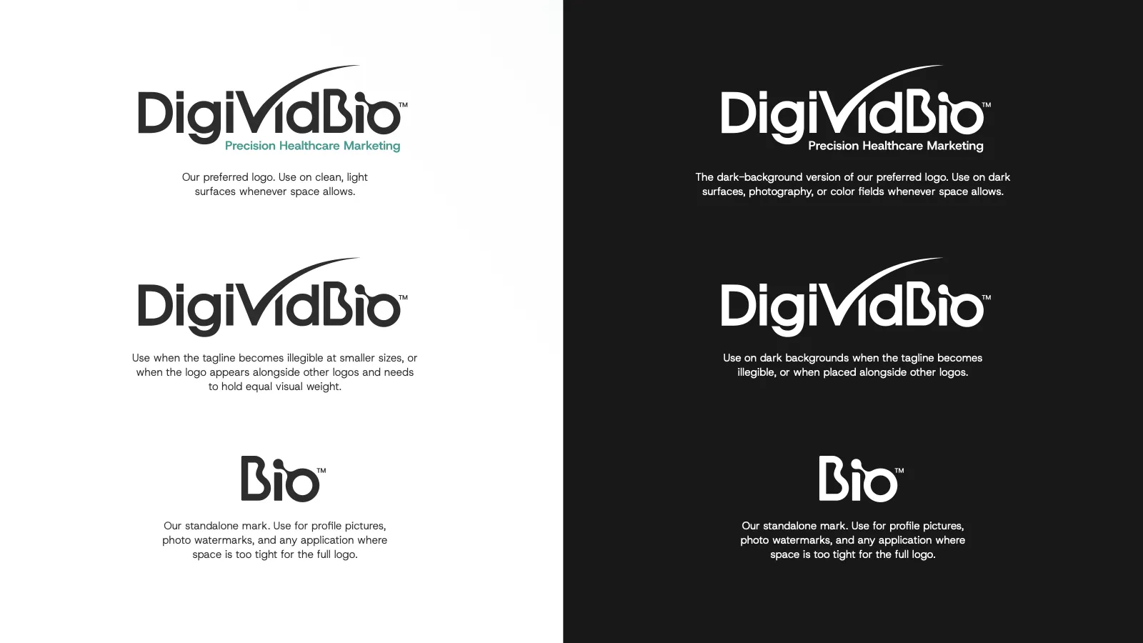 DigiVidBio Brand Playbook, page 9