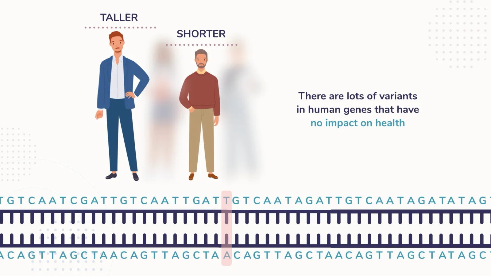 Variants: Most variants have no impact on health. Some can stop a gene from working.